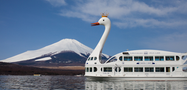 山中湖の白鳥の湖