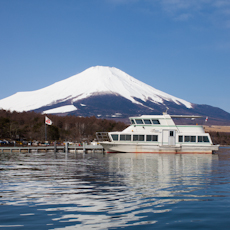 ニューわかふじ