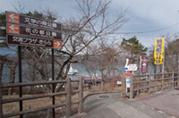 山中湖の白鳥の湖